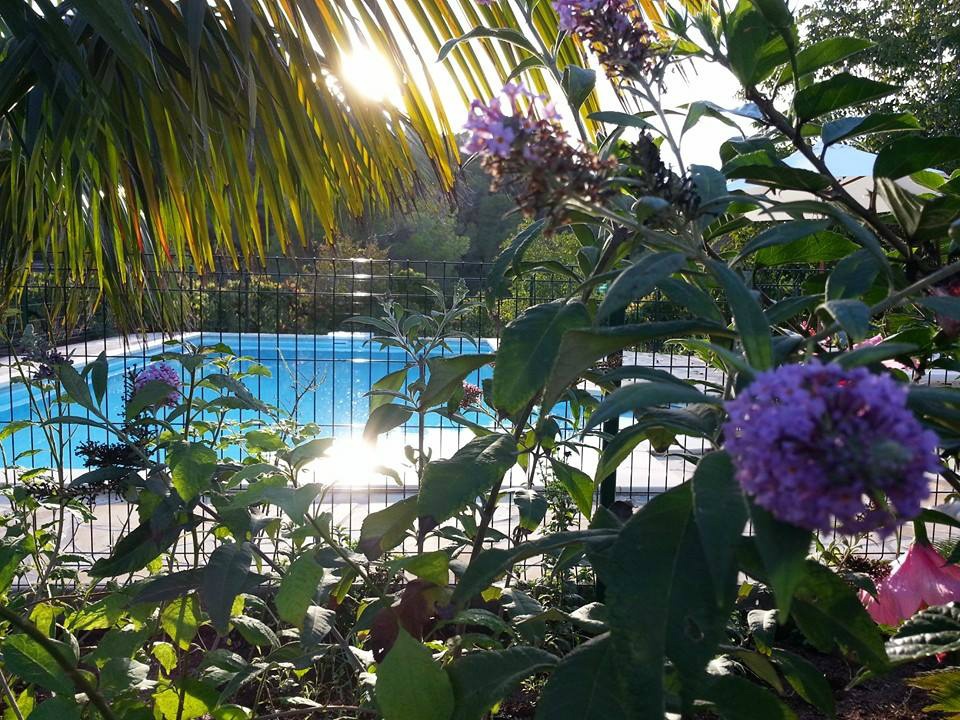 i282037939644969756._szw1280h1280_ flores